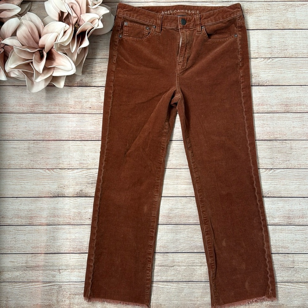 American Eagle Outfitters Brown Corduroy Pants